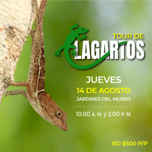 Tour de Lagartos 2025