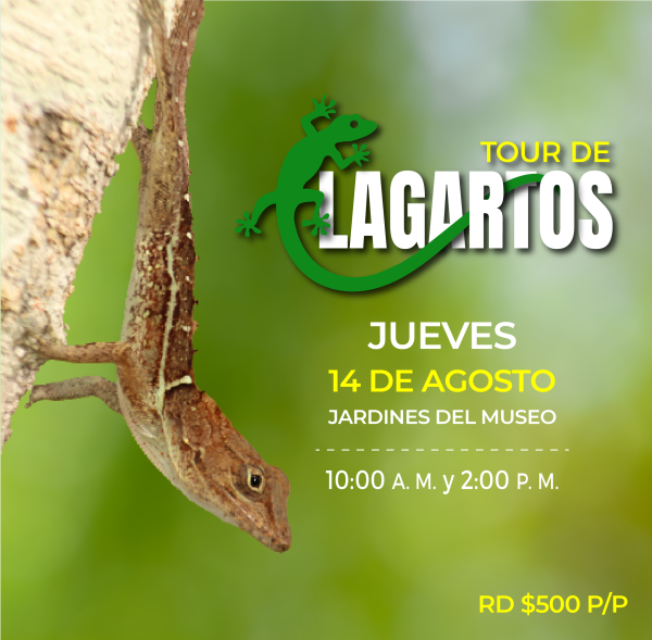 Tour de Lagartos 2025