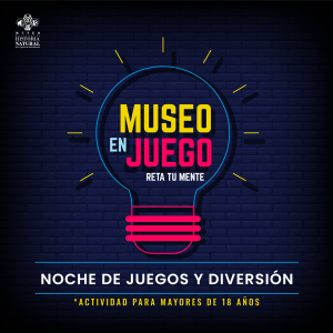Museo En Juego. Reta Tu Mente