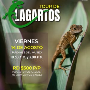 Tour de Lagartos 2026